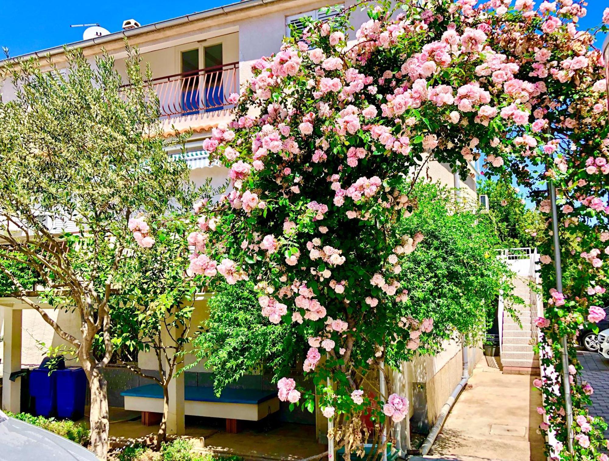 Apartments Cala Biograd Na Moru Rum bild
